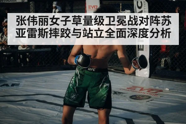 UFC octagon cage fight